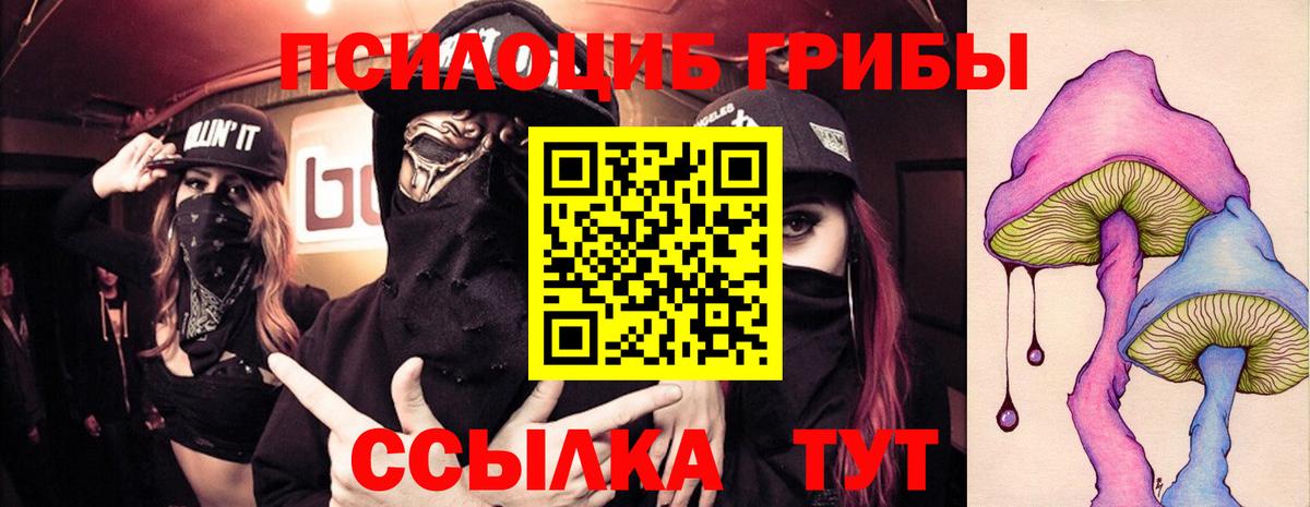 Кудымкар  Псилоцибиновые грибы мицелий  Псилоцибиновые грибы Cubensis  Вход с VPN 