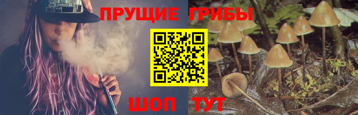 Галлюциногенные грибы мицелий Кудымкар